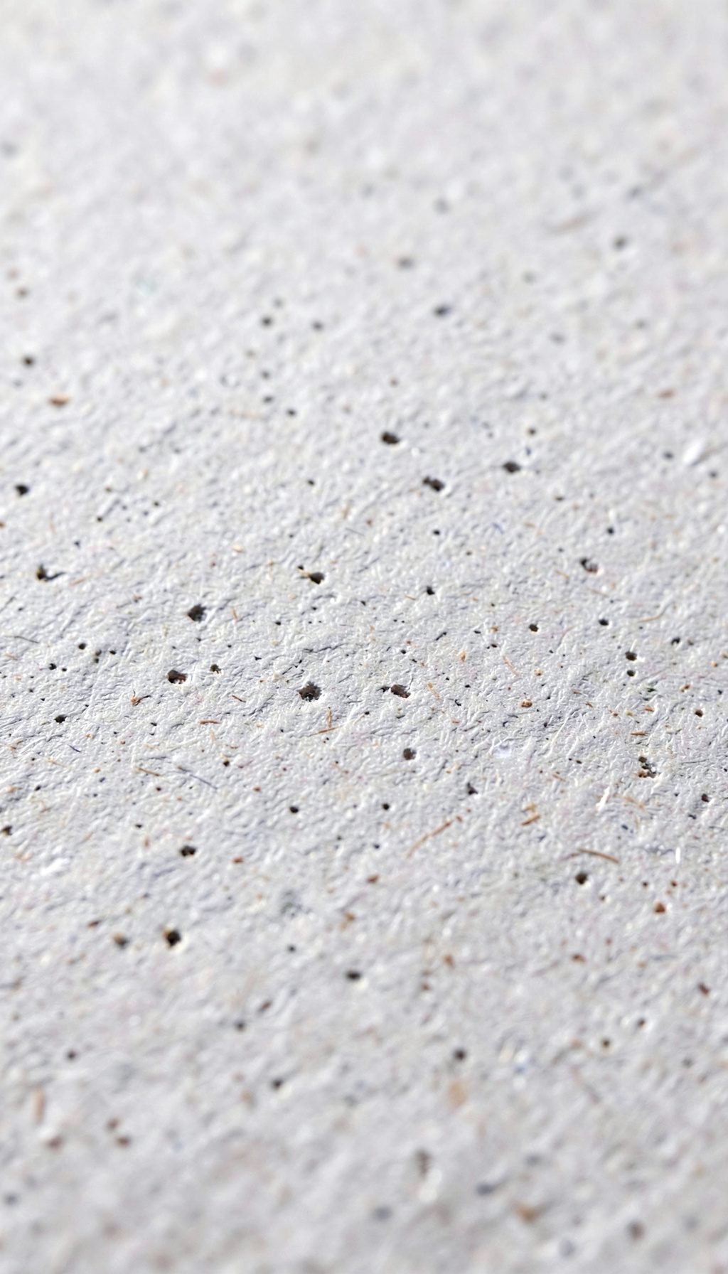 Textura de cartón prensado gris claro con motas y porosidad visible, iluminación cenital difusa.